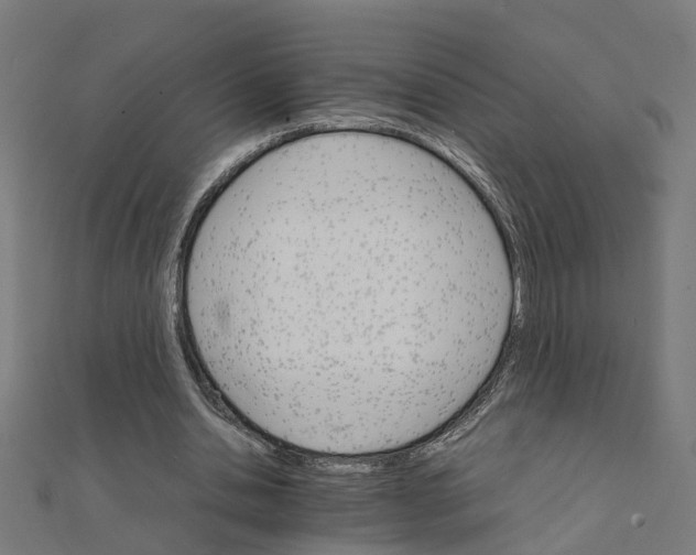 X0000111230438200907301249