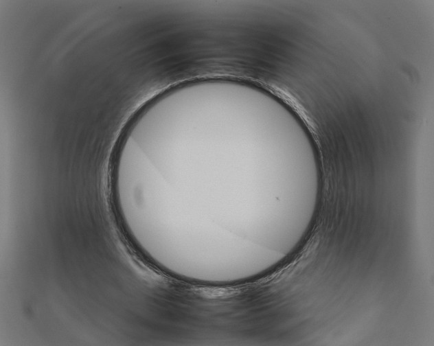X0000111230439200907301249