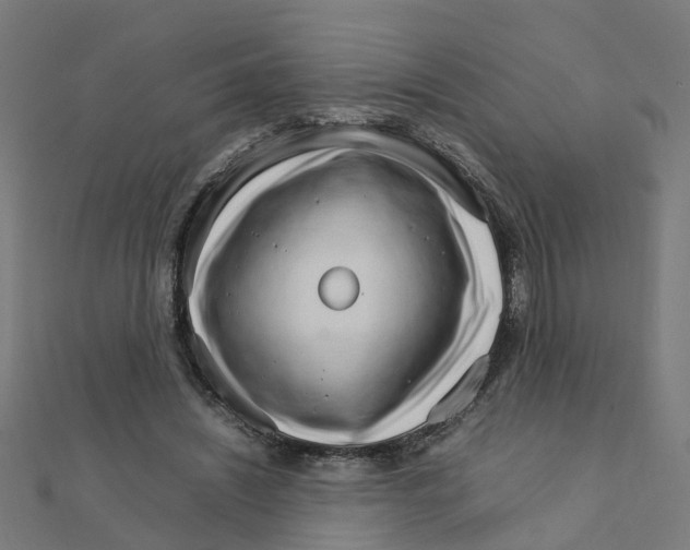 X0000111230444200907301249
