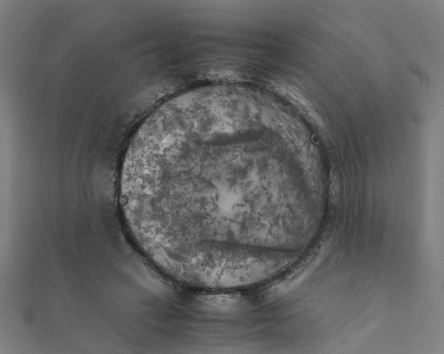 X0000111230449200907301249