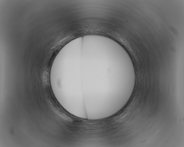 X0000111230450200907301249