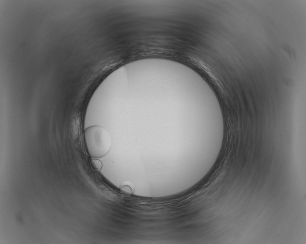 X0000111230451200907301249