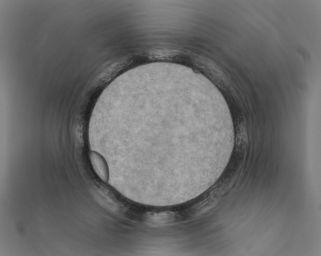 X0000111230452200907301249