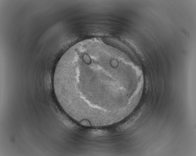 X0000111230453200907301249