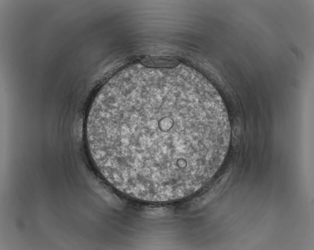 X0000111230454200907301249