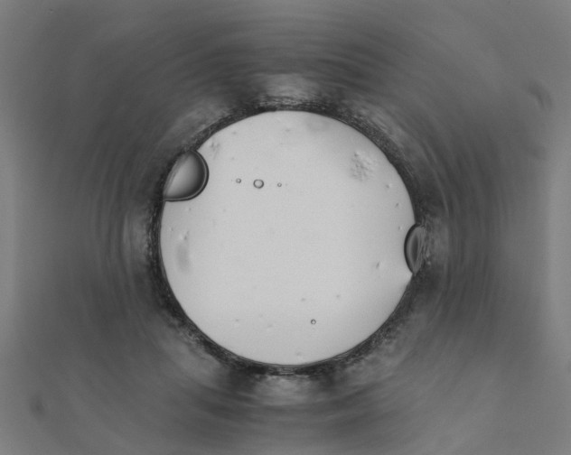 X0000111230455200907301249