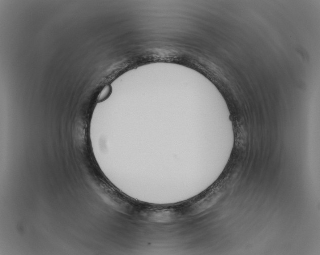 X0000111230456200907301249