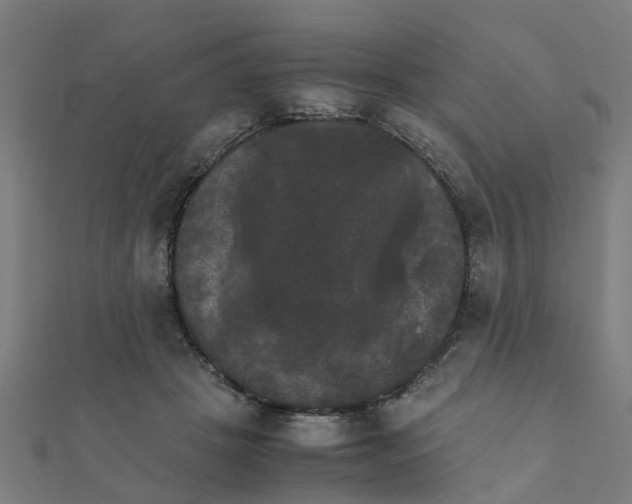 X0000111230457200907301249