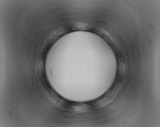 X0000111230459200907301249
