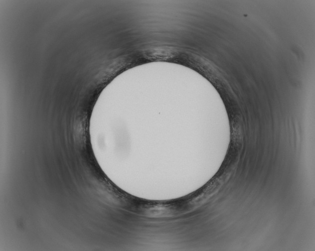 X0000111230460200907301249