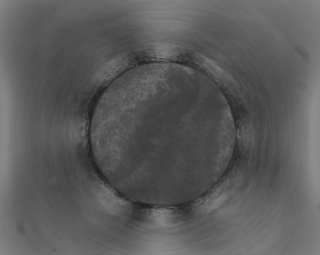 X0000111230462200907301249