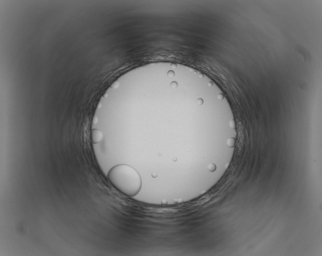 X0000111230463200907301249