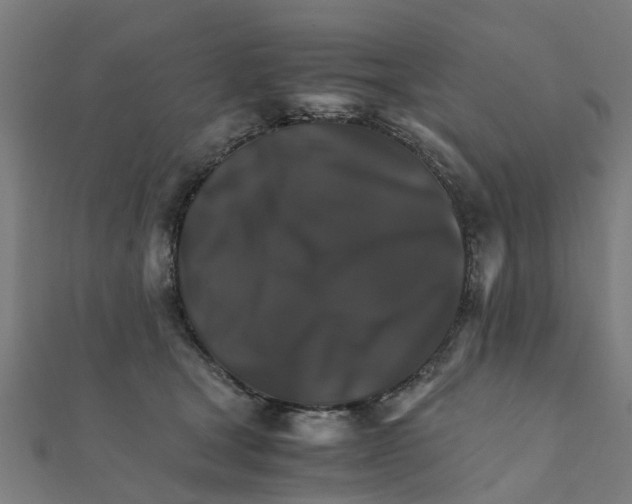 X0000111230465200907301249