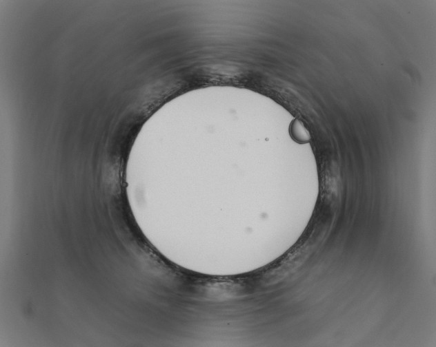 X0000111230468200907301249