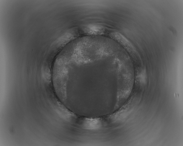 X0000111230469200907301249