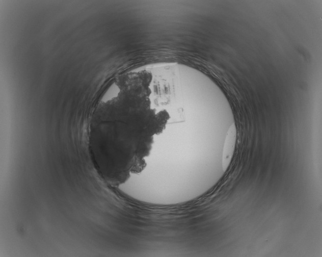 X0000111230470200907301249
