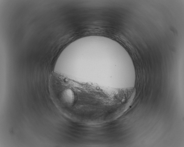 X0000111230471200907301249