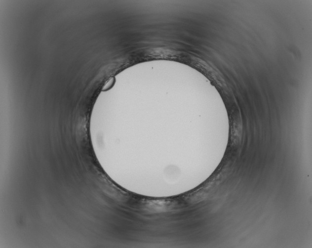 X0000111230473200907301249
