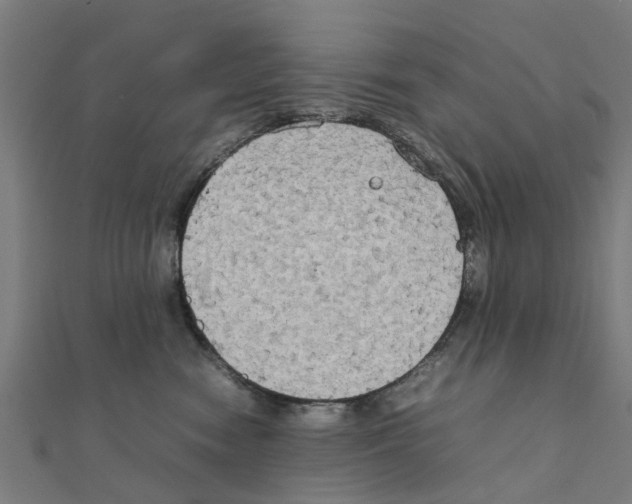 X0000111230474200907301249