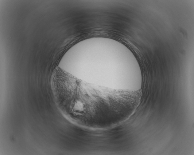 X0000111230475200907301250