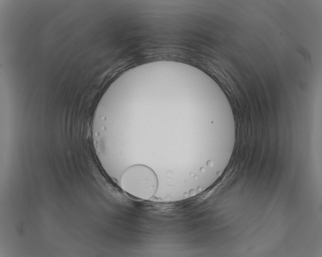 X0000111230478200907301250