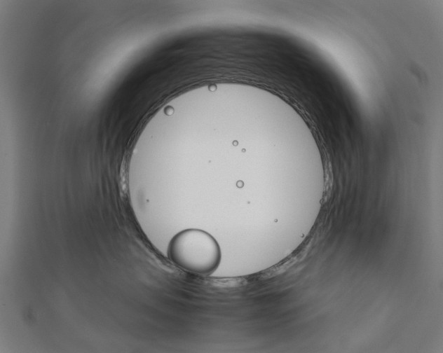 X0000111230479200907301250