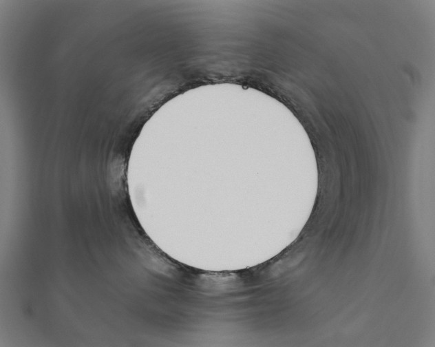 X0000111230480200907301250