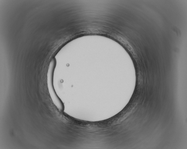 X0000111230481200907301249