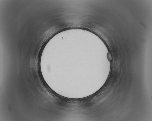 X0000111230485200907301249