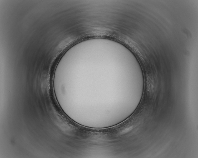 X0000111230486200907301249