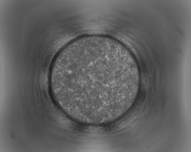 X0000111230487200907301249