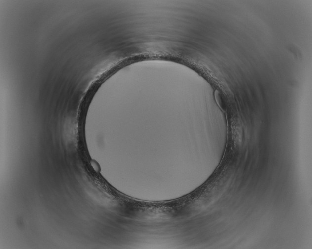 X0000111230488200907301249