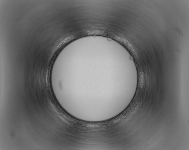 X0000111230490200907301249