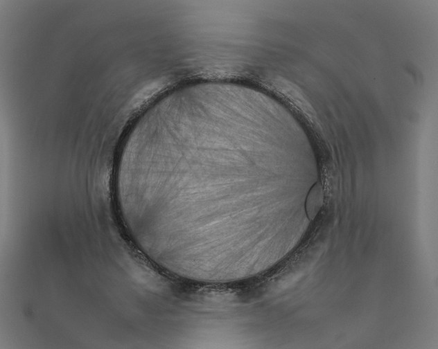 X0000111230491200907301249