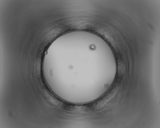 X0000111230493200907301249