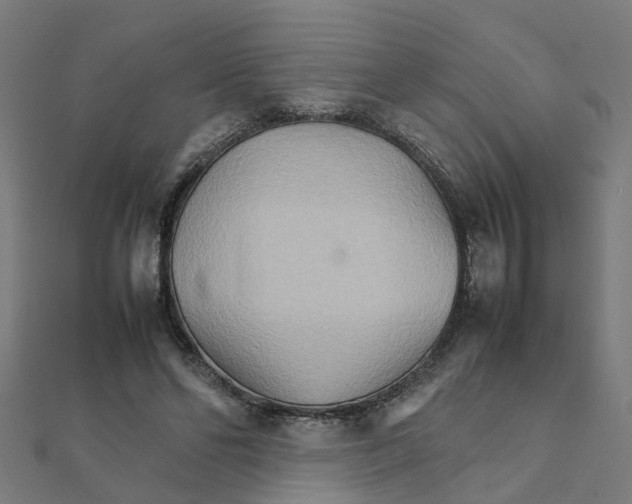 X0000111230494200907301249