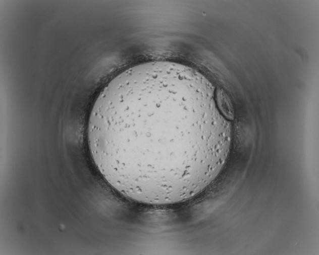 X0000111230499200907301249