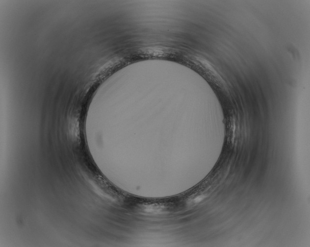 X0000111230500200907301249