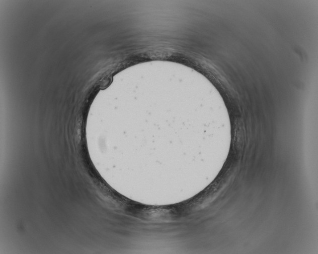 X0000111230501200907301249