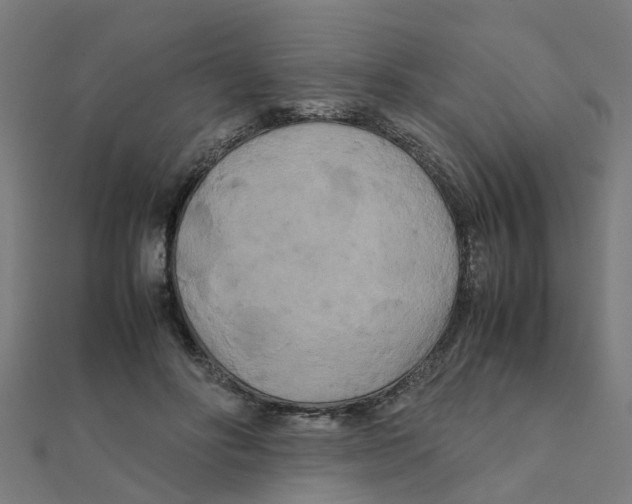 X0000111230502200907301249