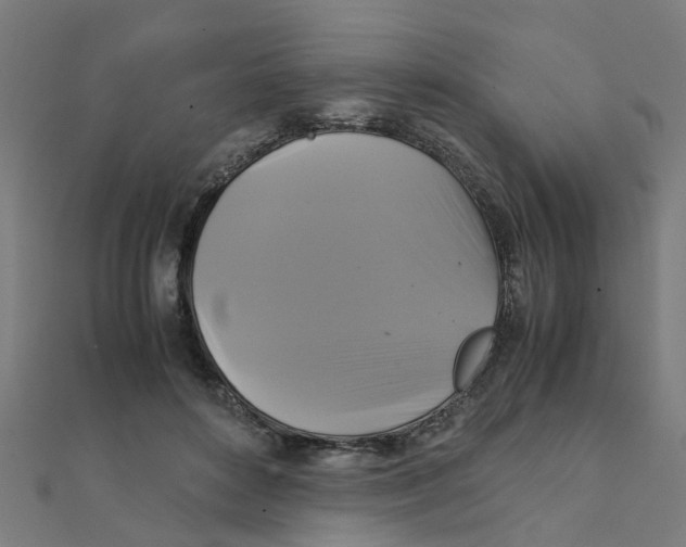 X0000111230504200907301249