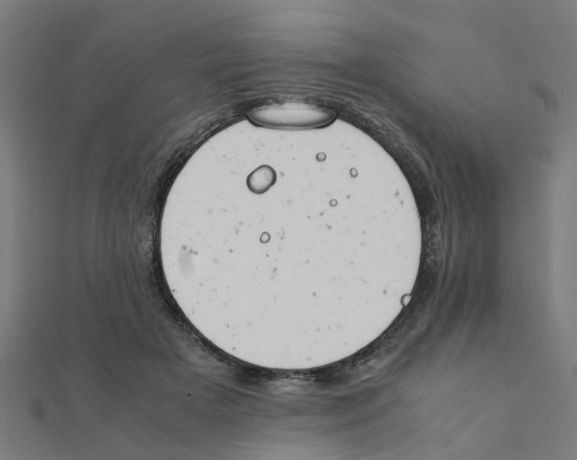 X0000111230505200907301249