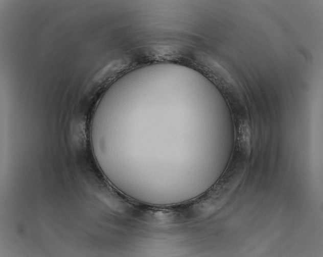 X0000111230506200907301249