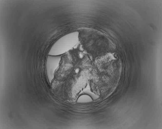 X0000111230507200907301249