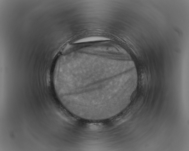 X0000111230508200907301249