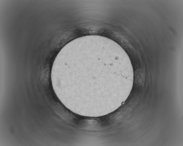 X0000111230509200907301249