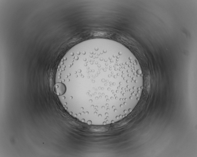 X0000111230510200907301249