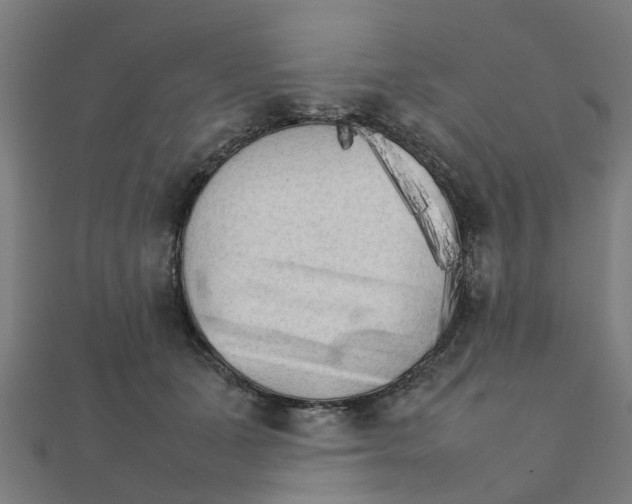 X0000111230511200907301249