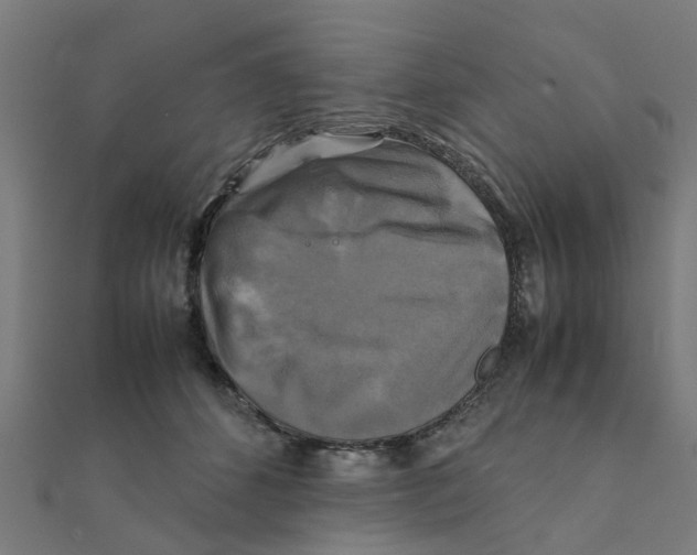 X0000111230512200907301249