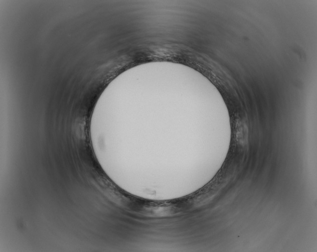 X0000111230514200907301249